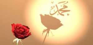 Hz.Muhammed’in (sav) Sevde validemiz ile evlenmesi